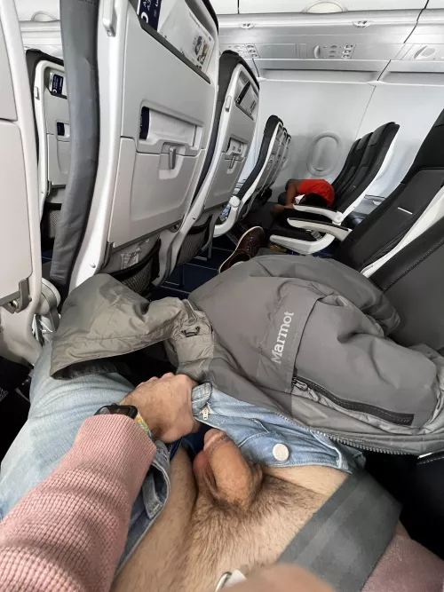 Snake on a plane π