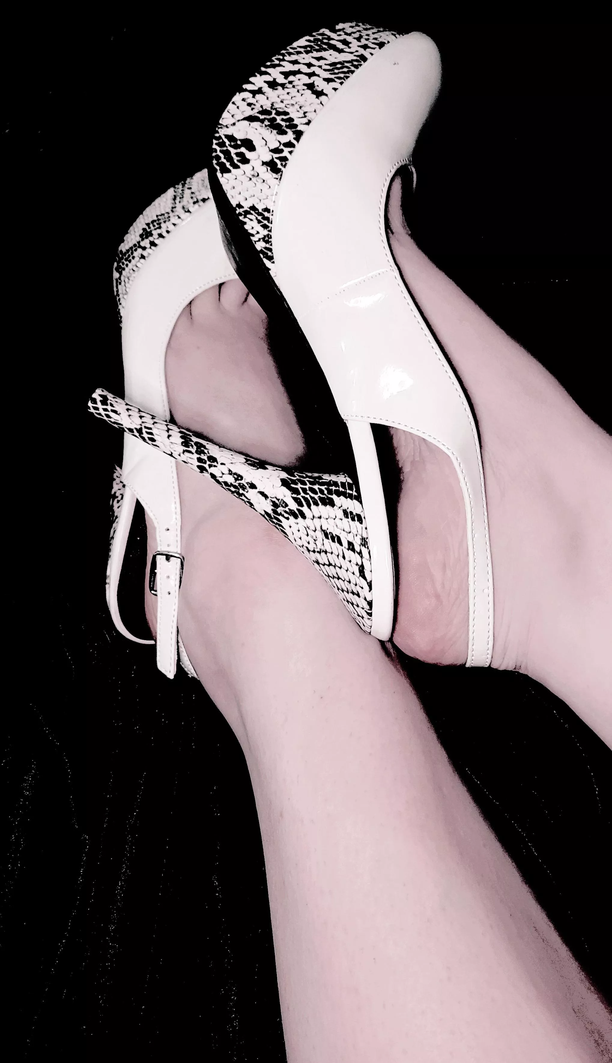 Snakeskin Snakeskin