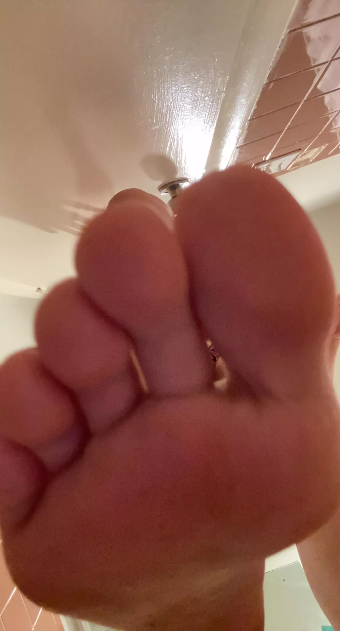 Sniff or lick ? Sniff or lick ?