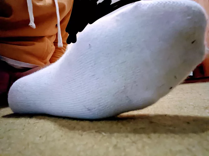 Sniff them intensively, Boy! ☝🏻😌