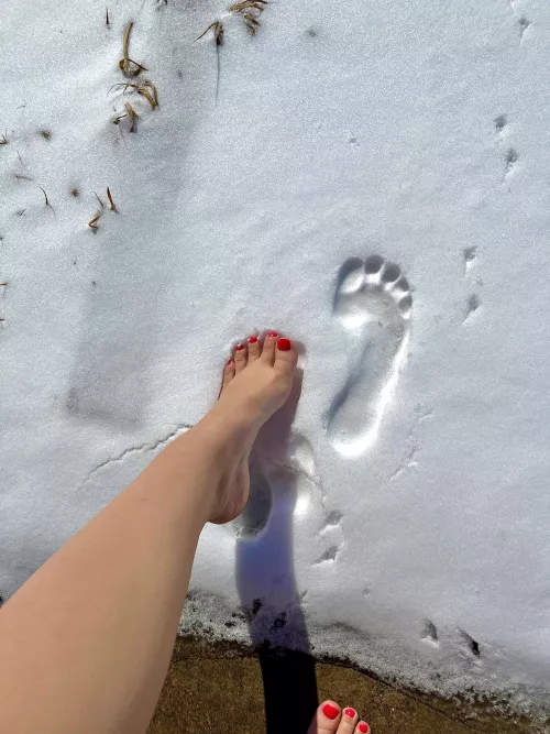 snow angels with my feet snow angels with my feet