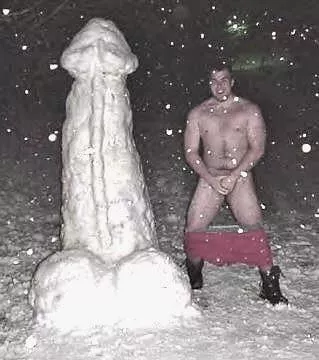 Snow Cock [Not OC]