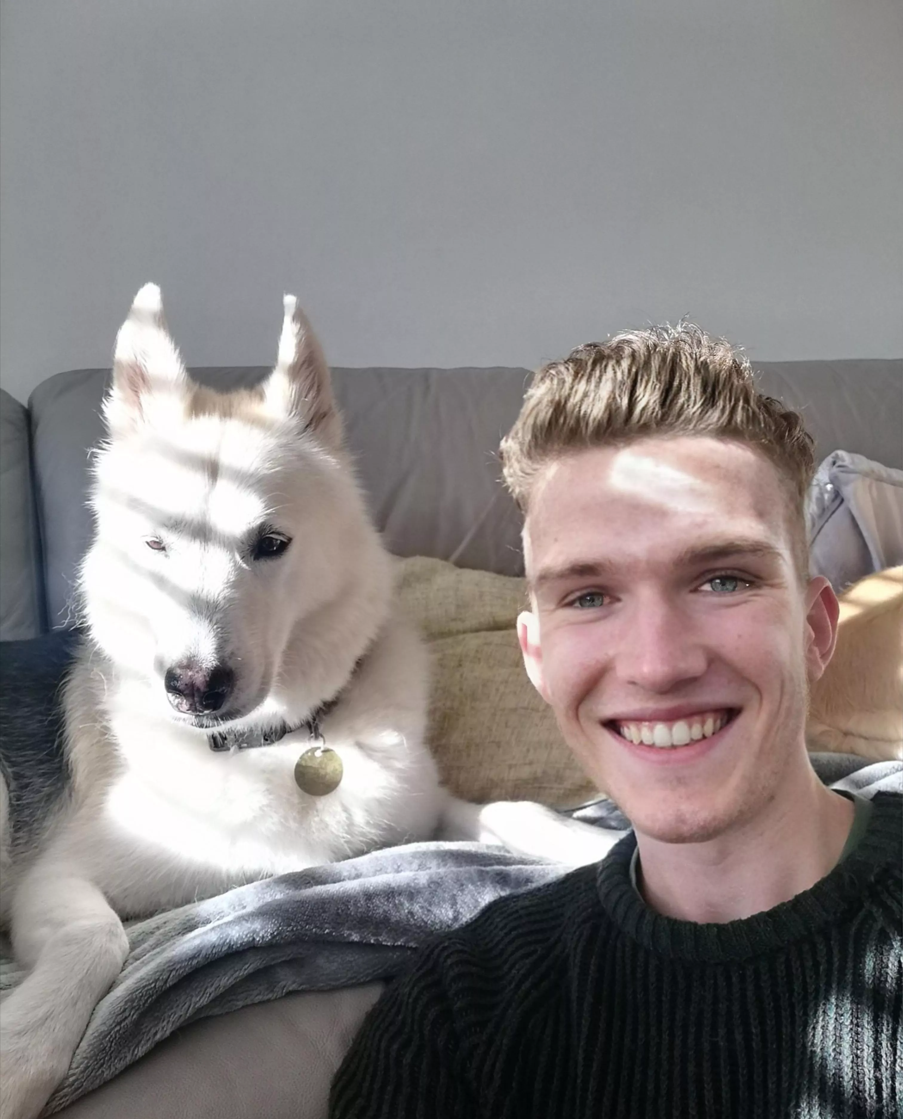 Snow dog chilling in the sun