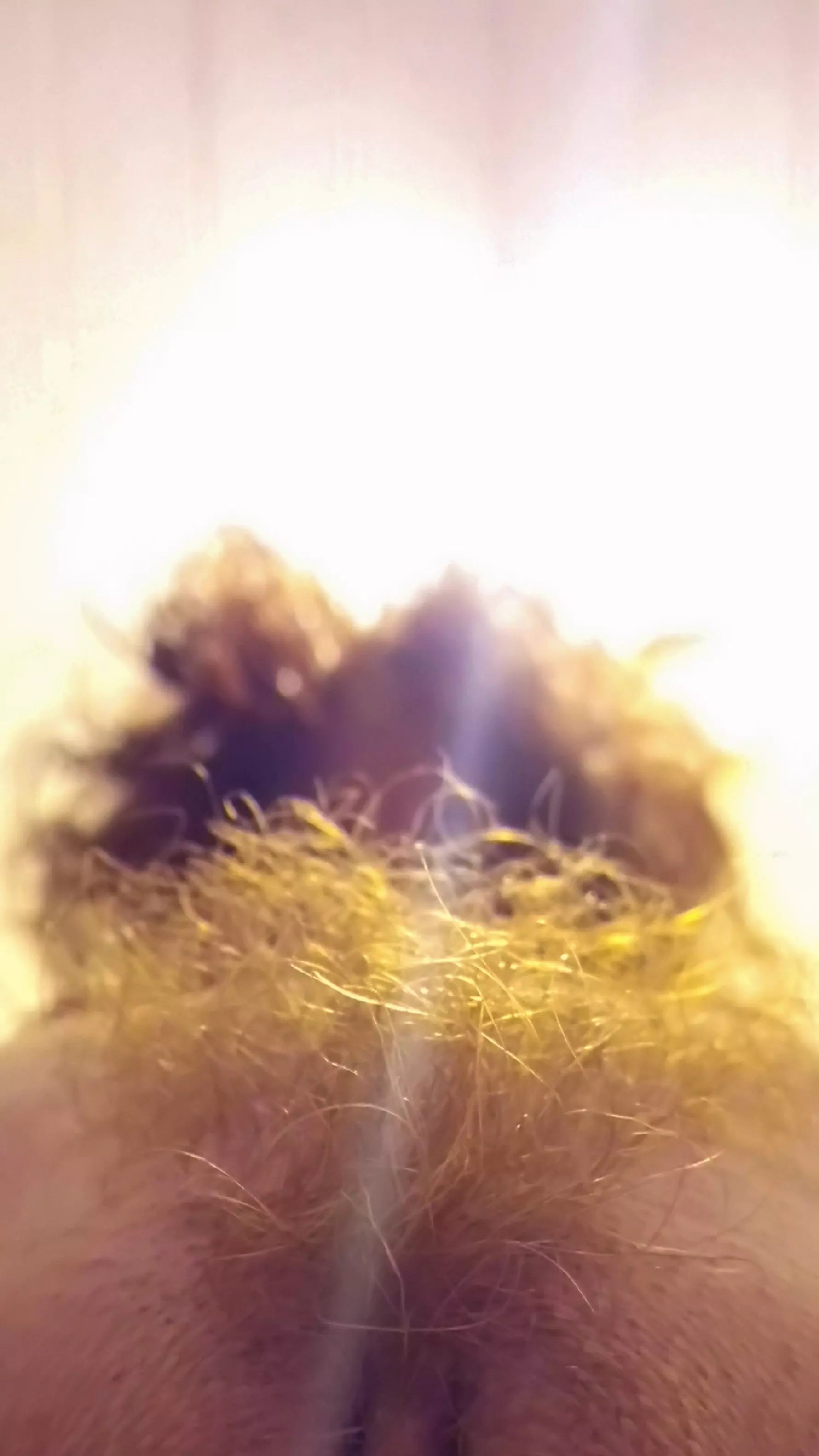 So close to your face... So close to your face...