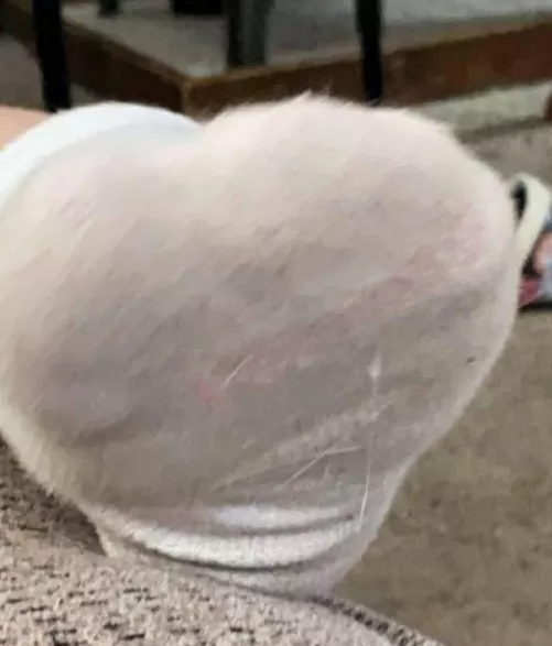 so close you can almost smell ๐ฅต