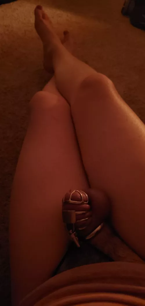 So cute how its trying to get out! So cute how its trying to get out!