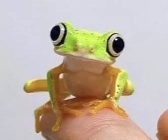 So does she still do any type of onlyfans if yes send me a link to her page if no have a nice day