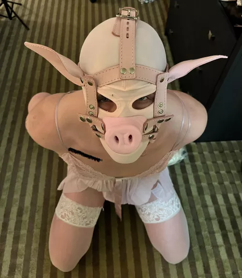 So grateful to have been turned into a sissy piggy 🥰