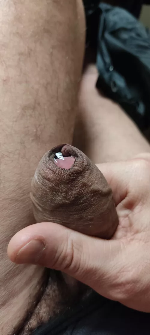 So horny