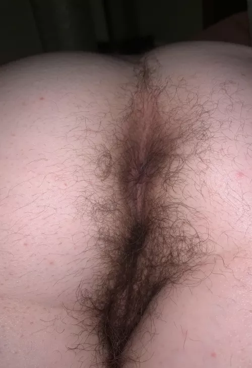 So I heard you like hairy asses?😏 So I heard you like hairy asses?😏