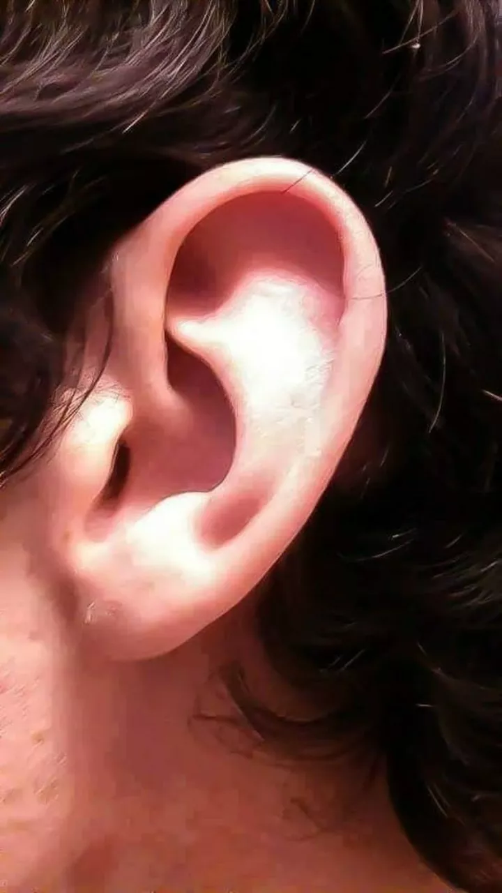 So I'm 24 (for those wondering), I have a ear fetish. My ears are super sensitive, honestly probably one of the most sensitive spots of my body. It's hard to control myself once someone plays with my ears. The top part of my ear is very stretchy, I lov