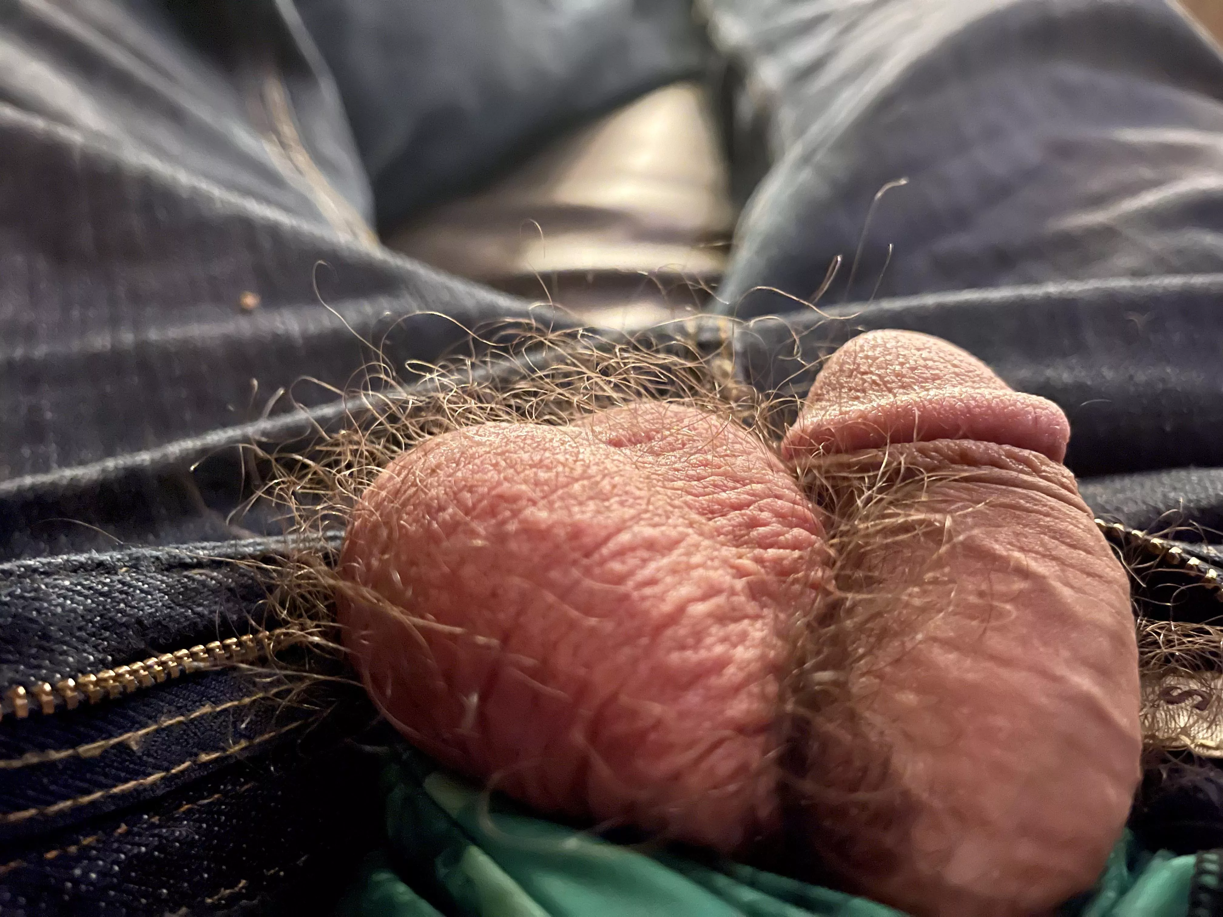 So much more hair if you can get these pants off.