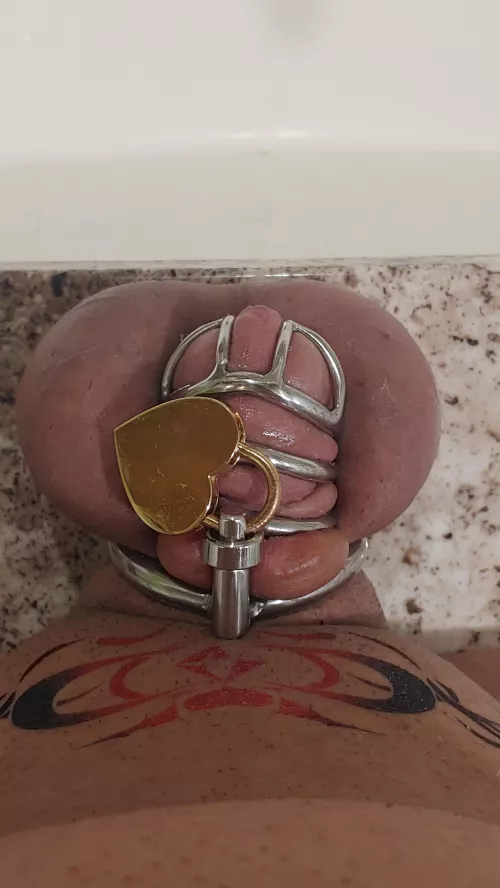 So nice and full! (Day 12 NNN) So nice and full! (Day 12 NNN)