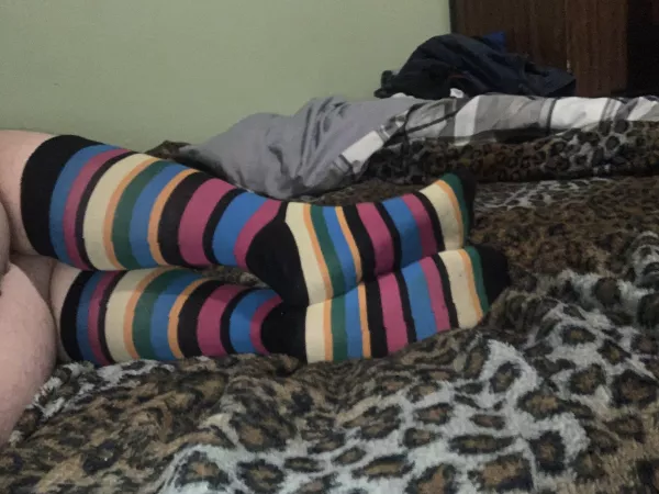 Sockss! Sockss!