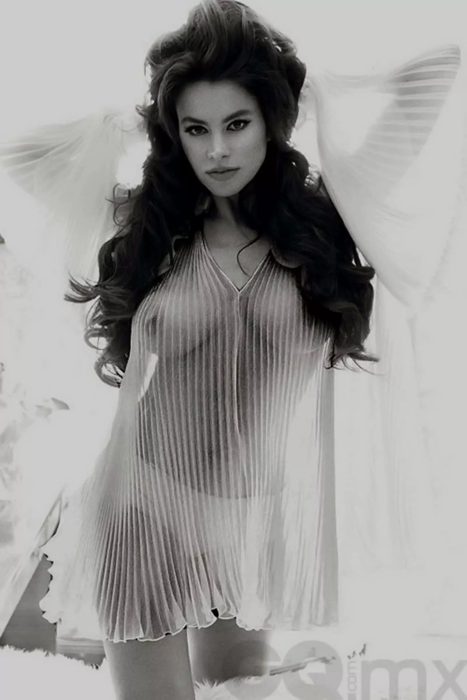 Sofia vergara nude photos