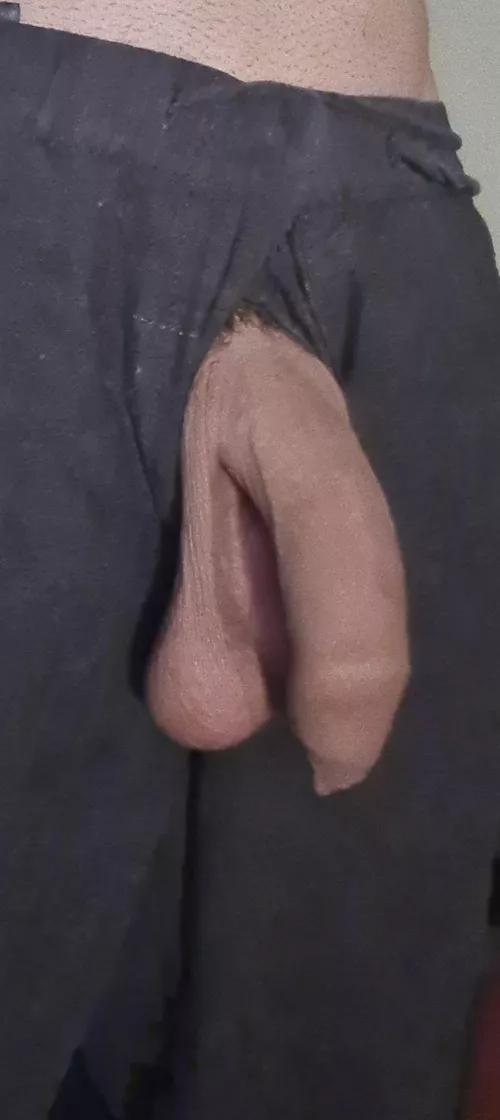 Soft hanging dong π¦πΊ 25