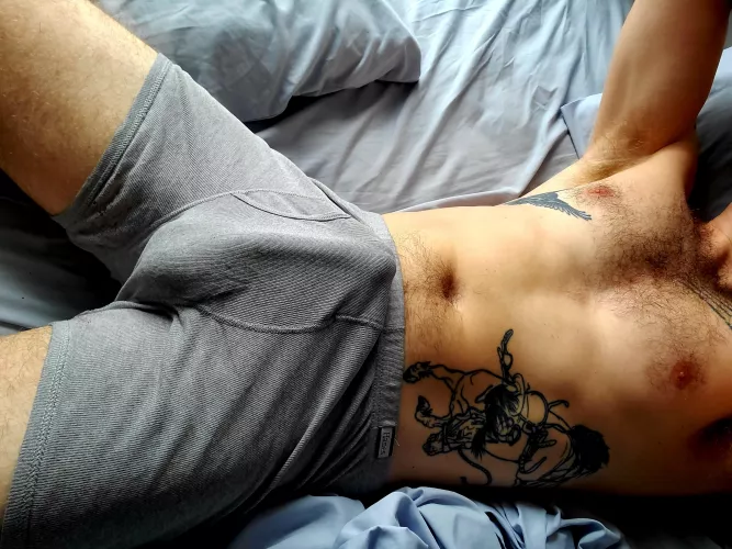 soft supplement soft supplement