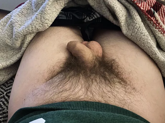 Softie + balls + dark bush