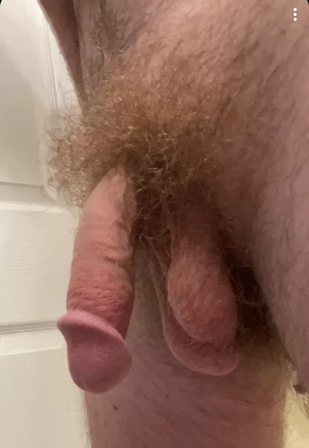 Softie Monday! Softie Monday!