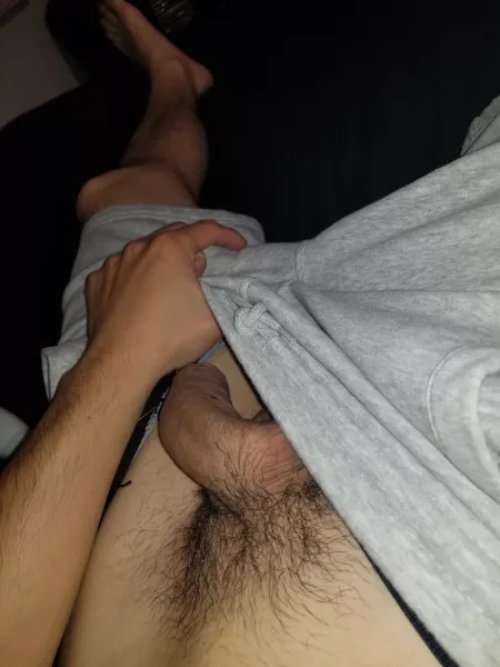 Softy