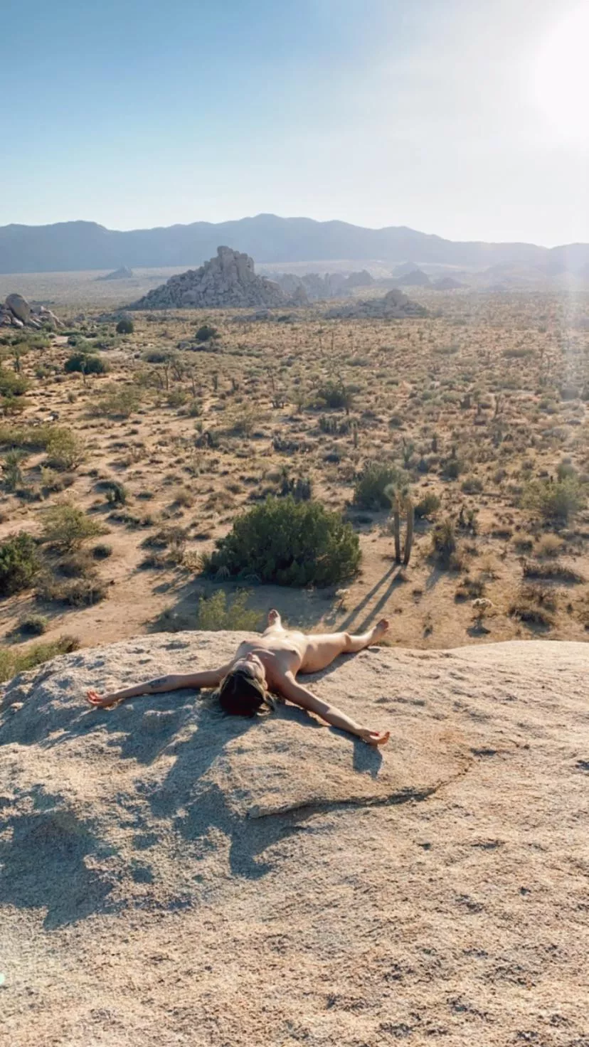 Solar penetration is the best kind and Joshua Tree does it best! Solar penetration is the best kind and Joshua Tree does it best!