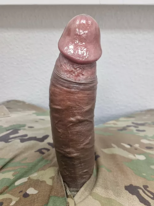 Soldier at attention