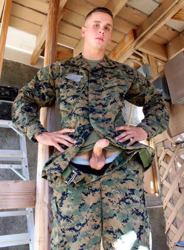 “Soldier Cock” ...