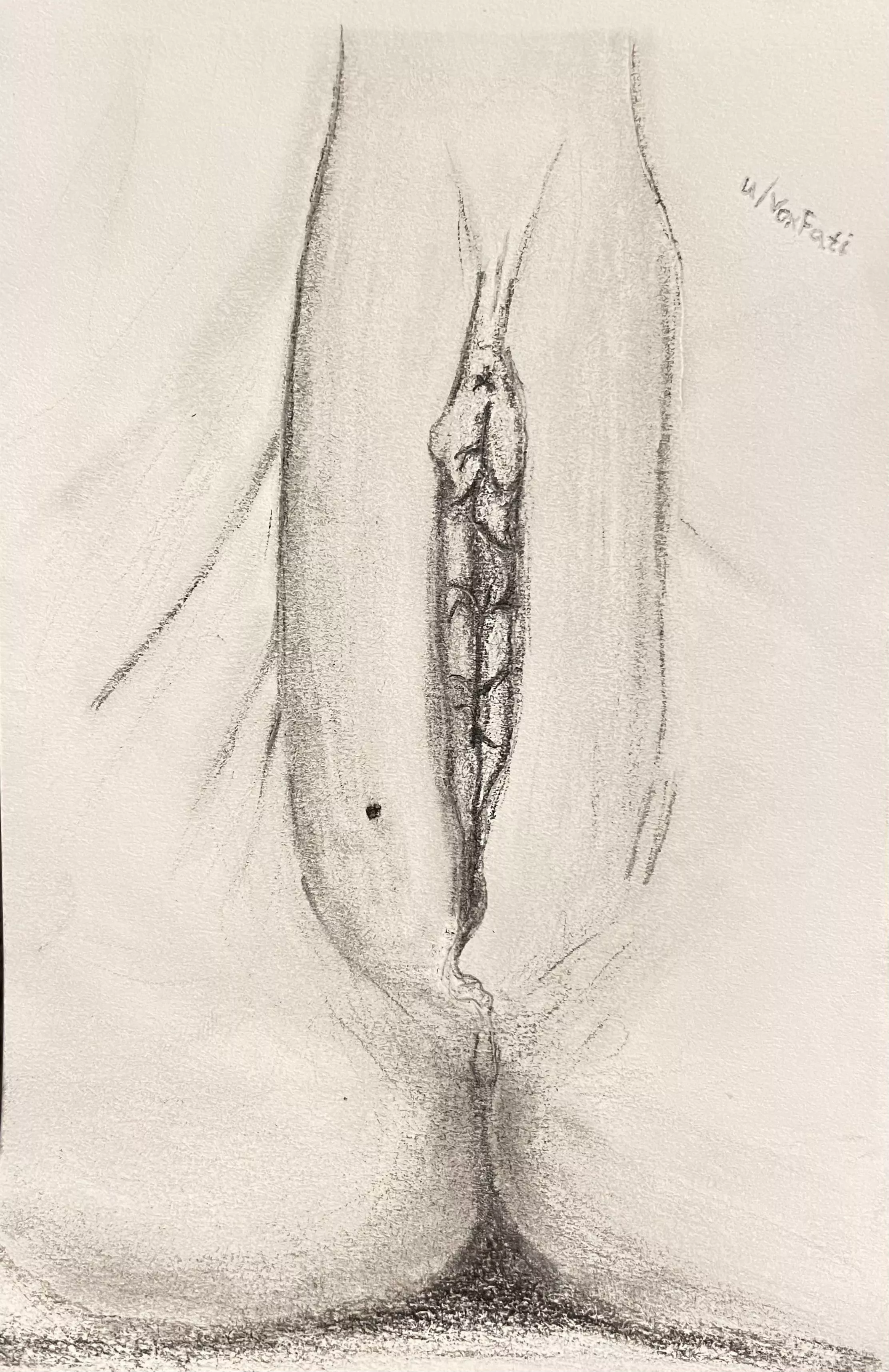 Solo [F]reckle by u/VoxFati