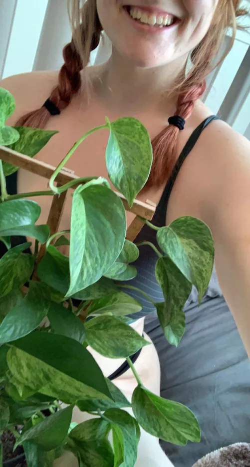 some clothes, mostly plant