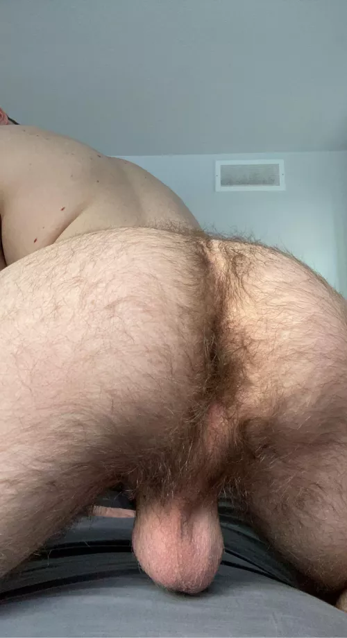 Some hairy ass + low hangers for you 😜