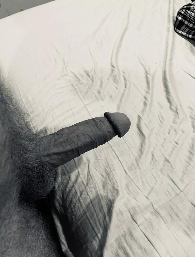 Some morning wood Some morning wood