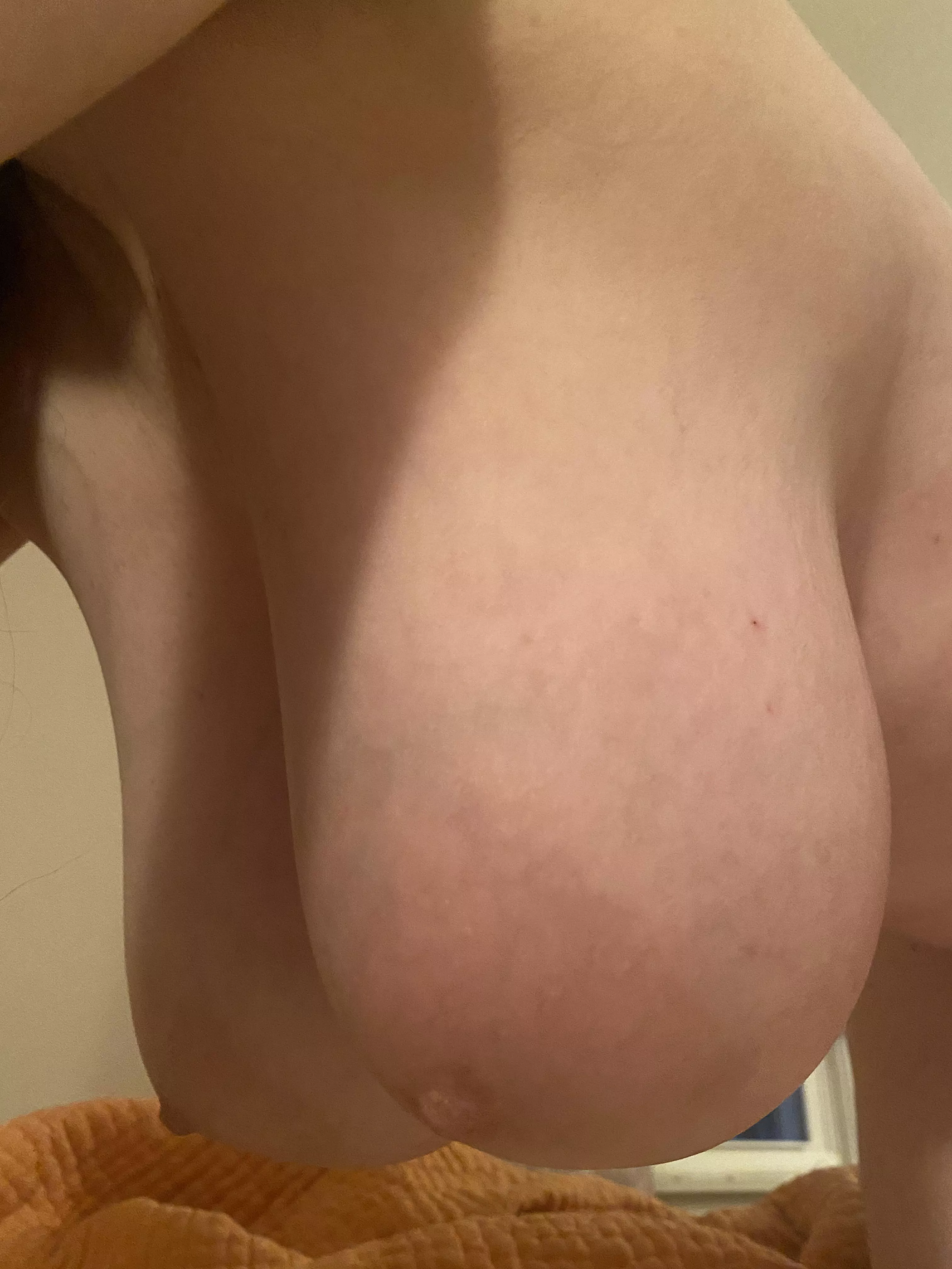 Some Sunday saggers! 😉