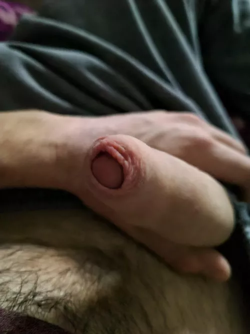 someone wanna play with it π¦