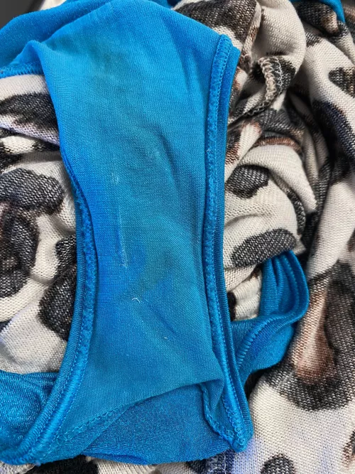 Someone was mad at me while I was deer hunting…but it looks like she had fun