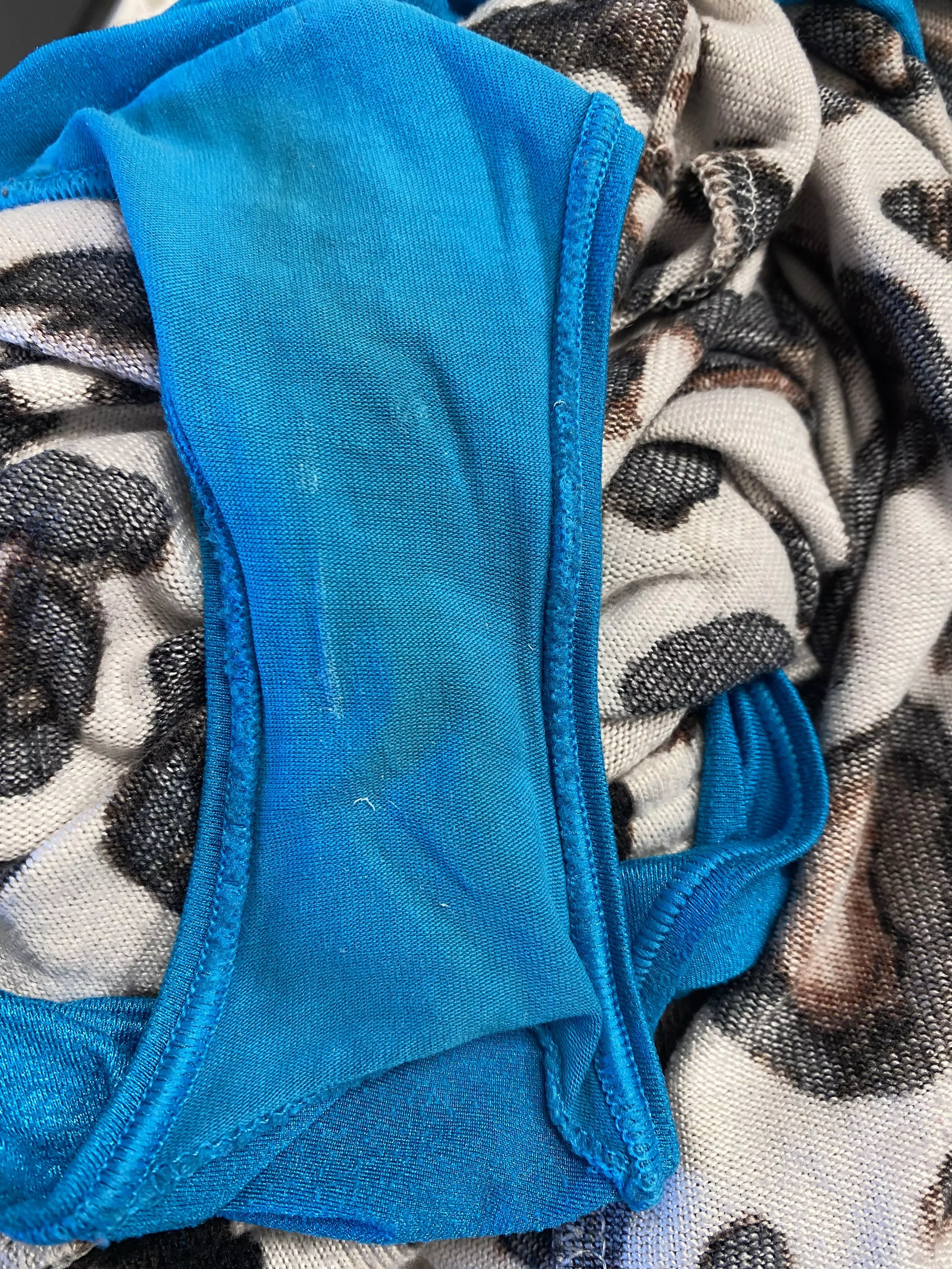 Someone was mad at me while I was deer hunting…but it looks like she had fun