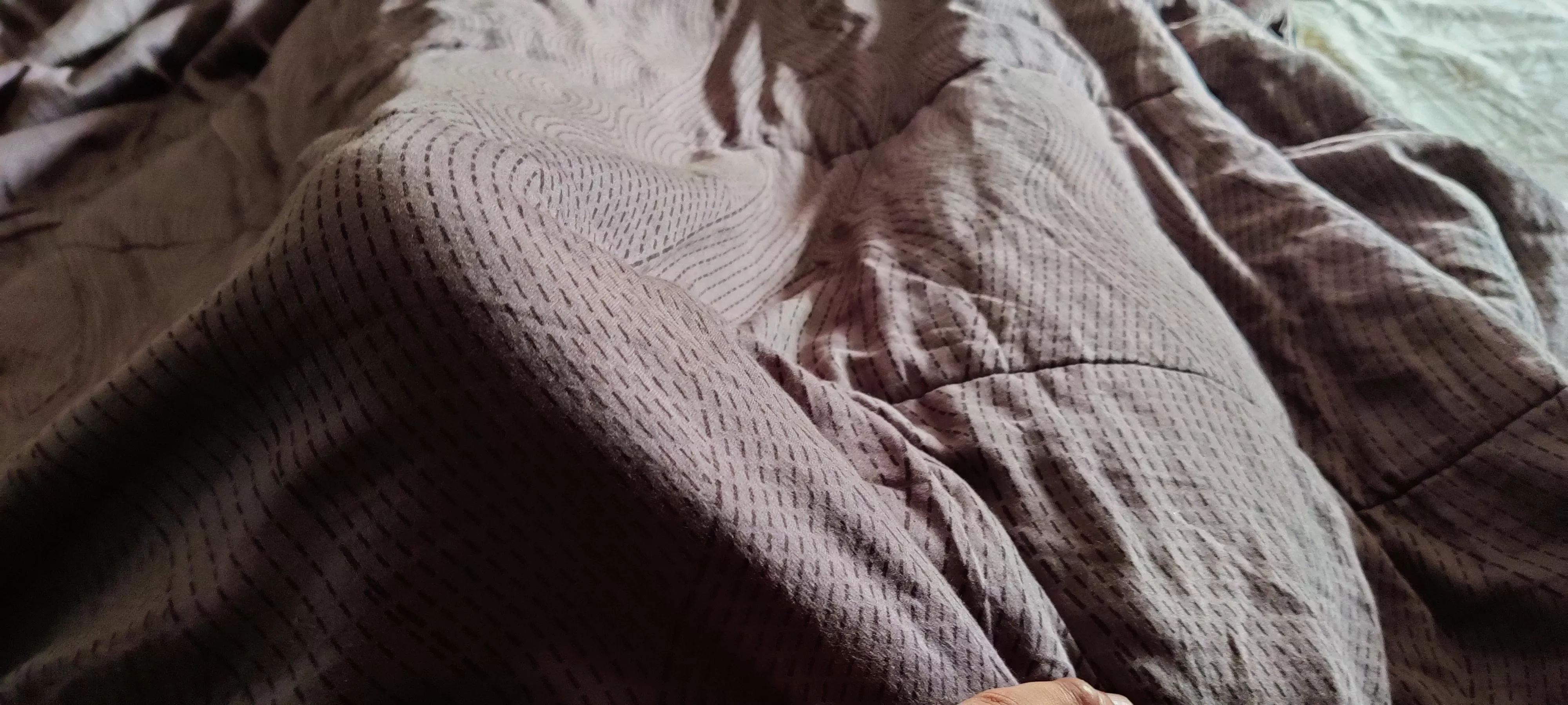 someone's shy to come out the blanket!😜