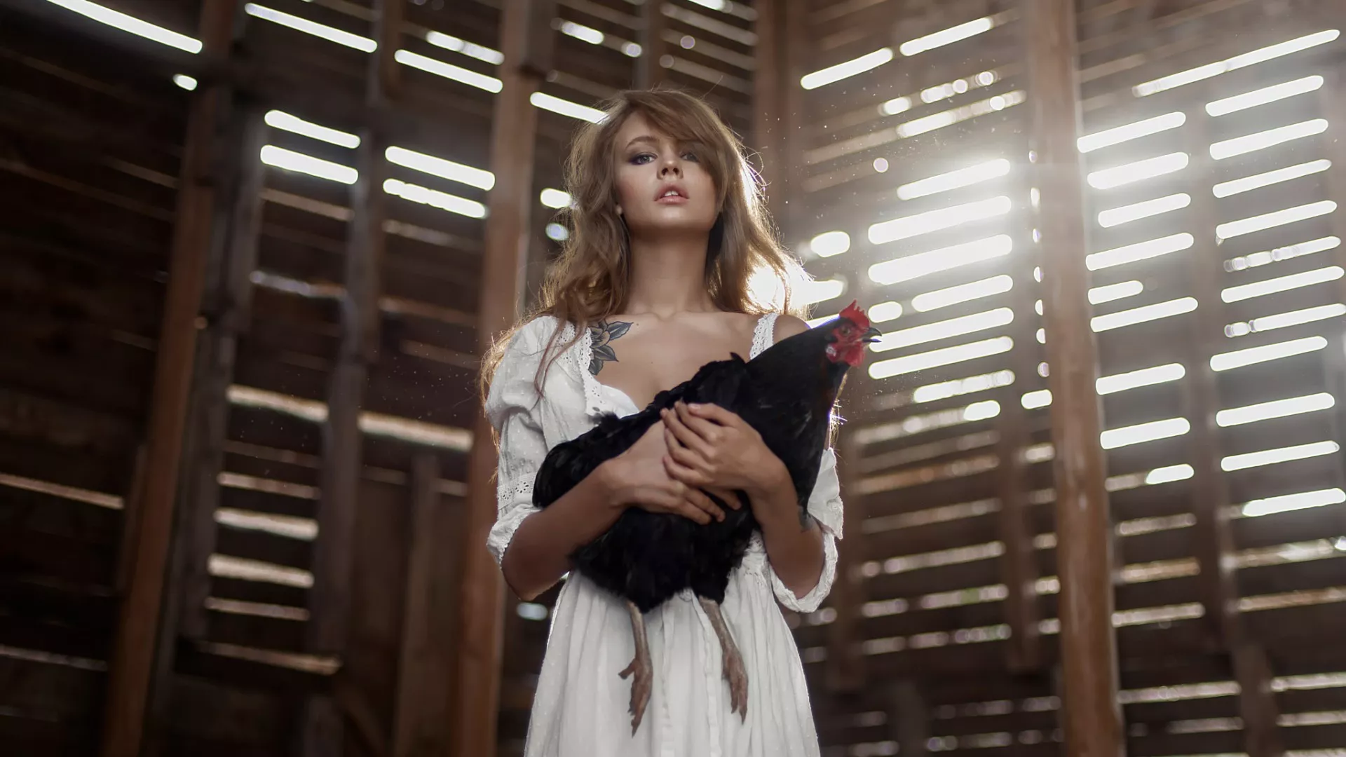 Something something big black cock (SFW) Something something big black cock (SFW)