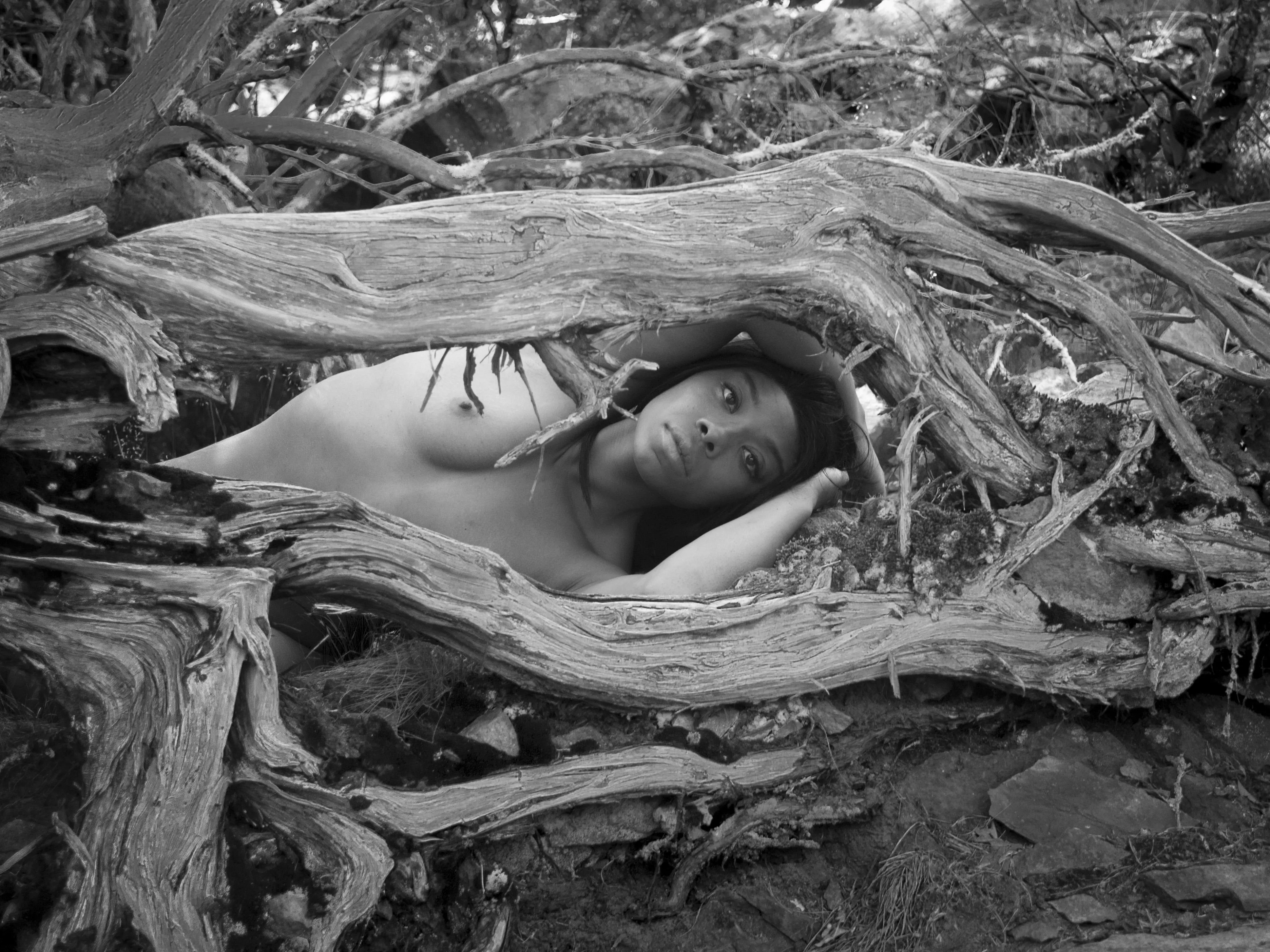Sometimes downed trees are more interesting Sometimes downed trees are more interesting