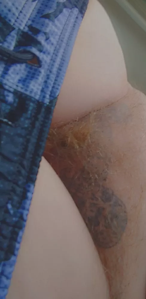 Sometimes I brush my ginger bush Sometimes I brush my ginger bush