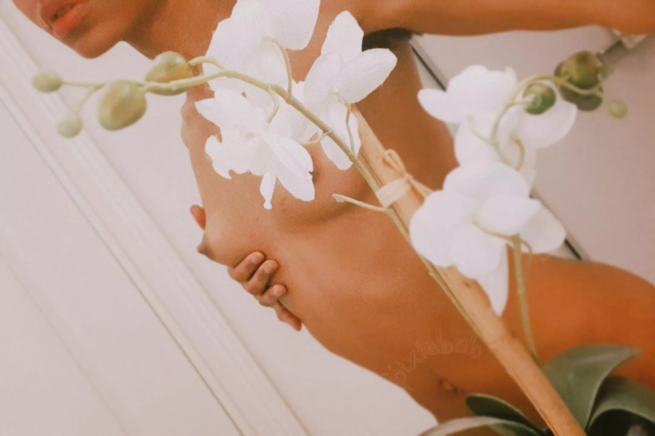 sometimes i feel like a flower 🌸