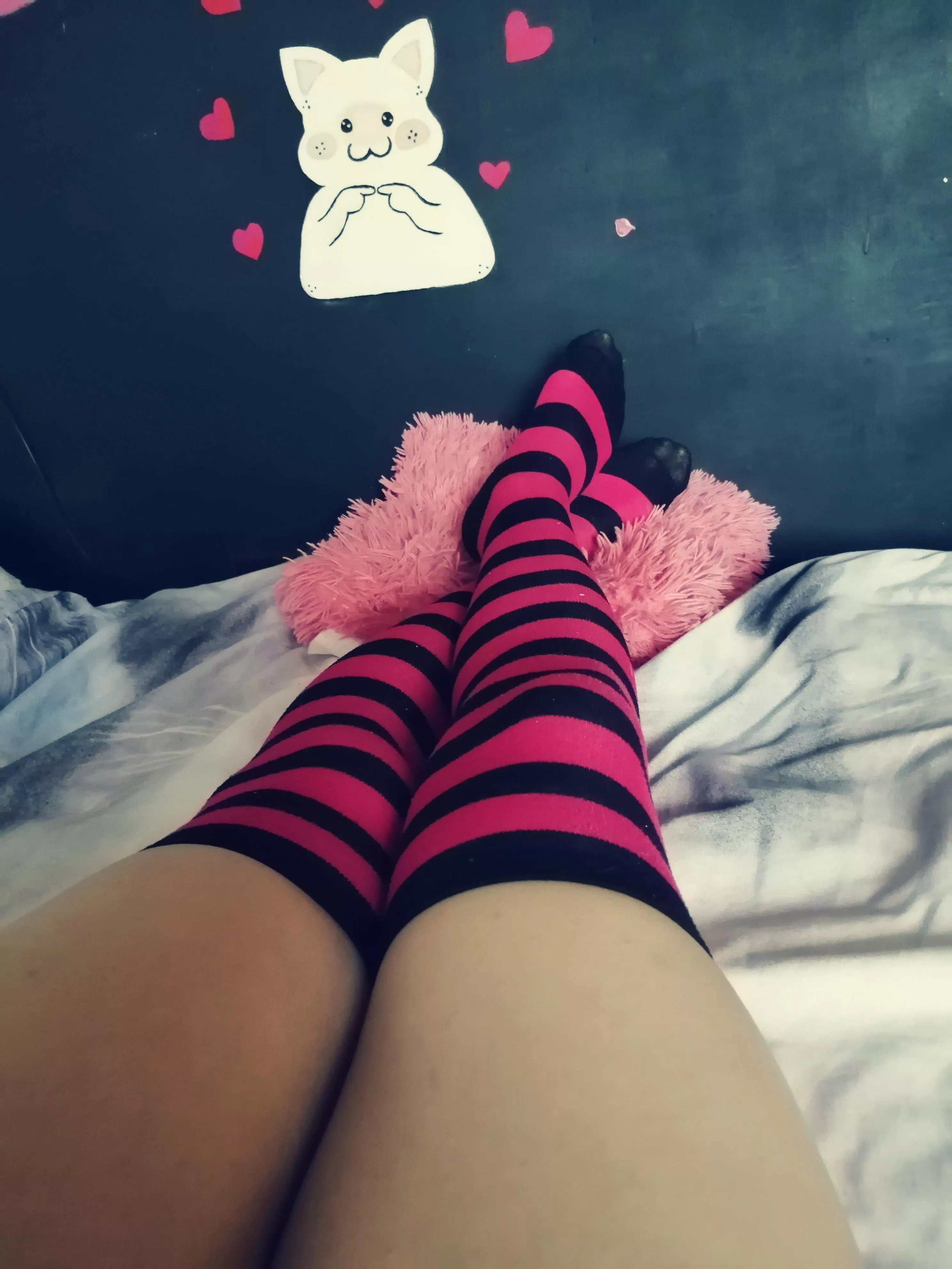 Soon I'll get more pictures finally! For now catch these ^^ Soon I'll get more pictures finally! For now catch these ^^