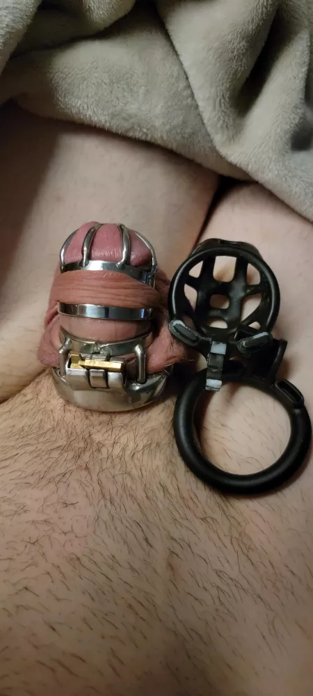 Sooo we may have partied too hard π€£π
π¬, somehow broek the lock part of my cage in two. Miss has put me behind bars until my back up arrives.