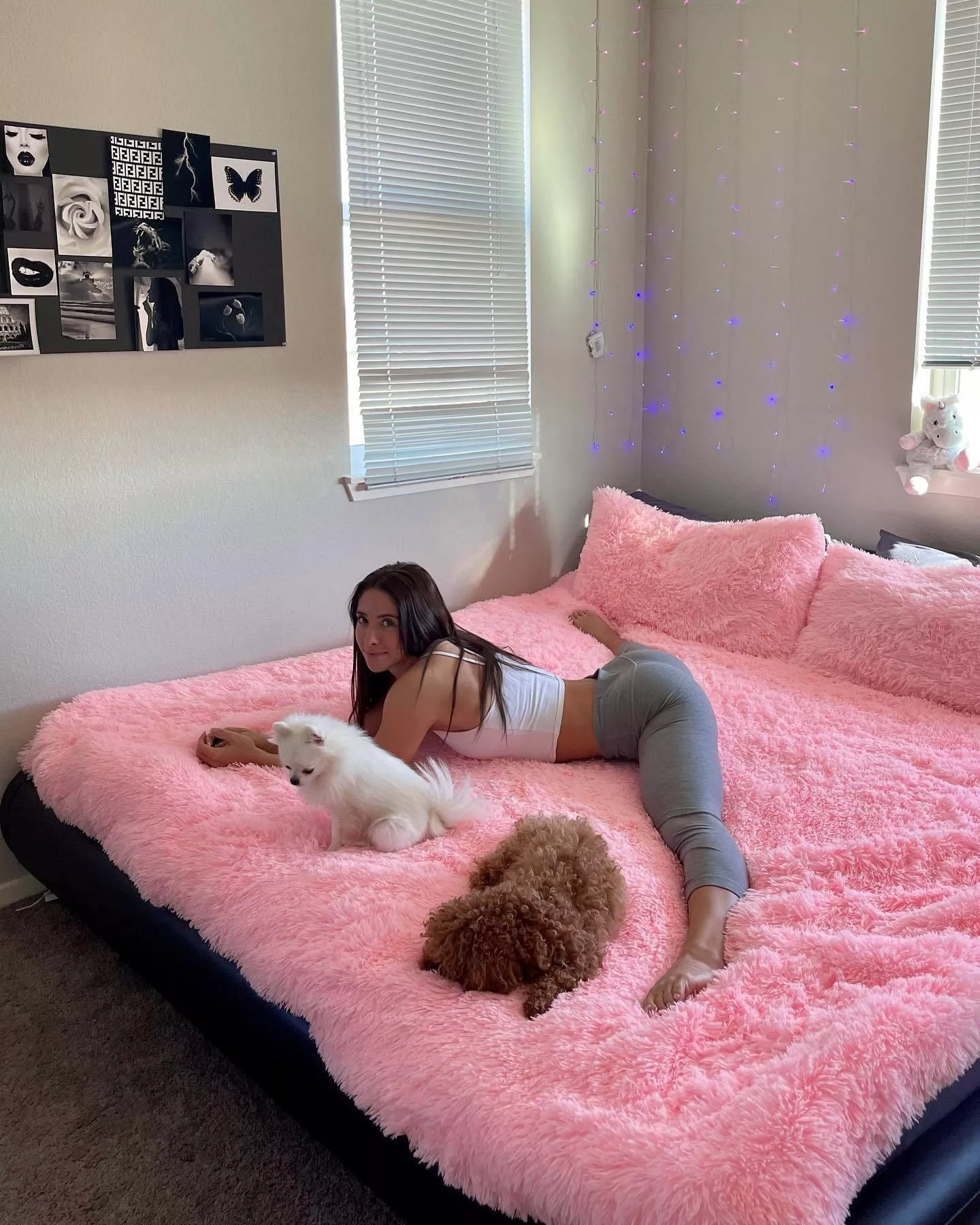 Sophia Campana -Gymnastics