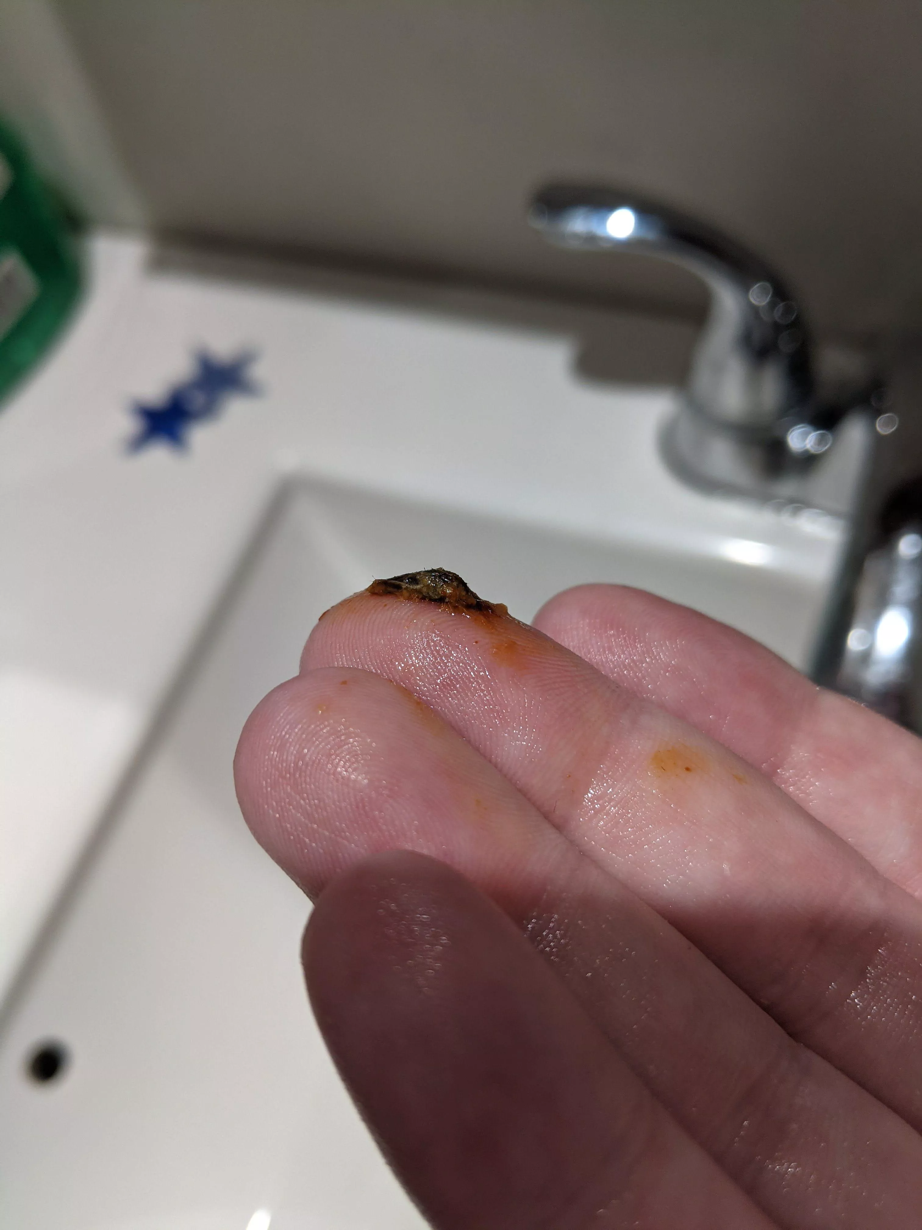 Sounded like paper in my ear. Hydrogen peroxide and flushing with a suction bulb got this beauty out