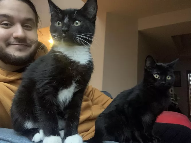 Spending today with these boys + some switch games