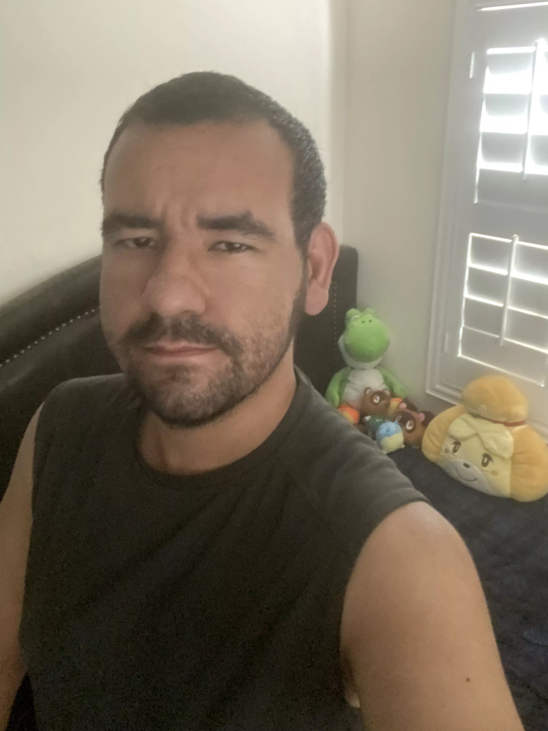 Spheal is enjoying his new home Spheal is enjoying his new home