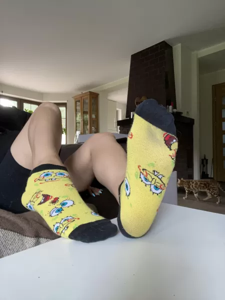 Spongebob sockies! π€ͺ