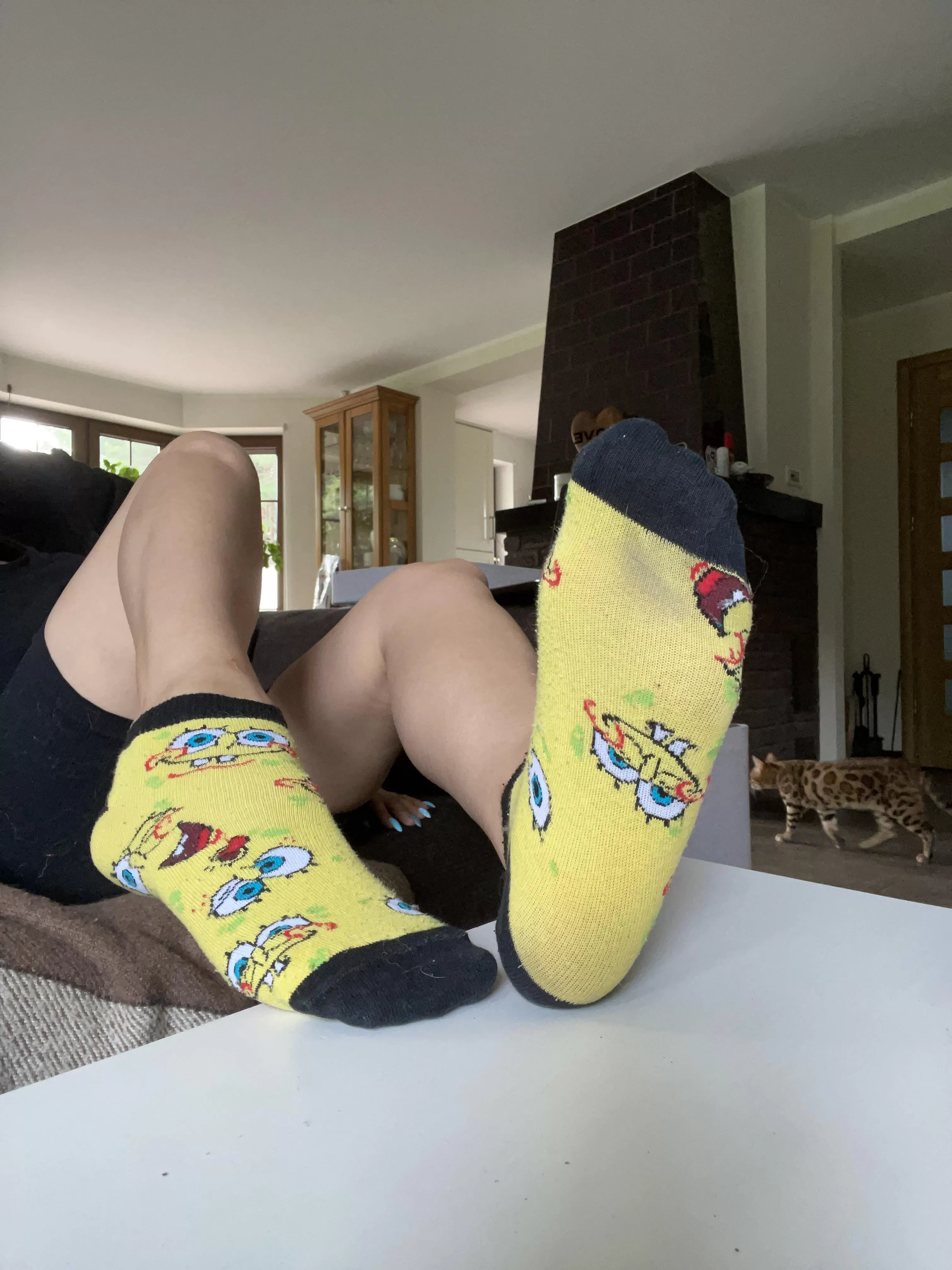 Spongebob sockies! 🤪 Spongebob sockies! 🤪