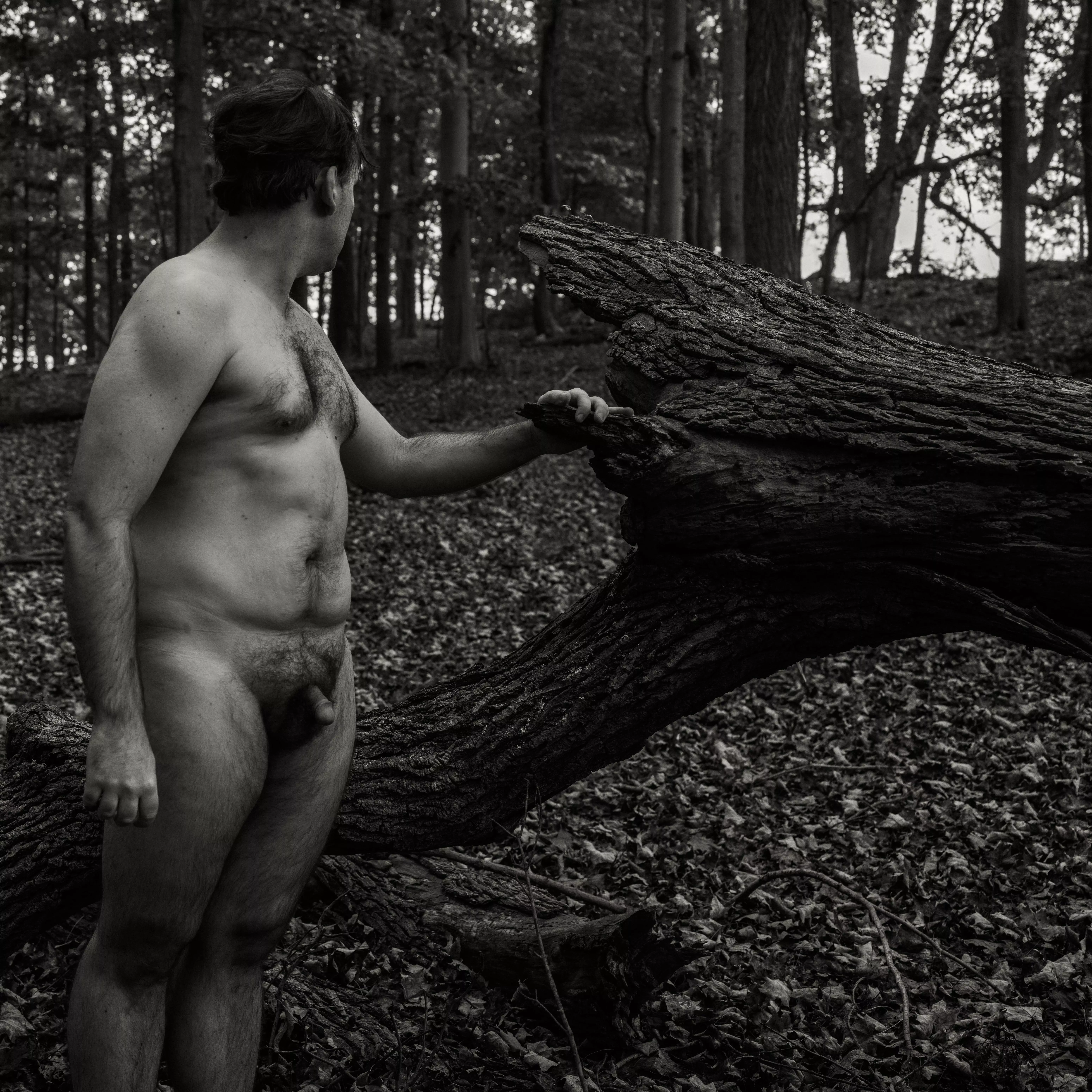 Spooky Forest (m) Spooky Forest (m)