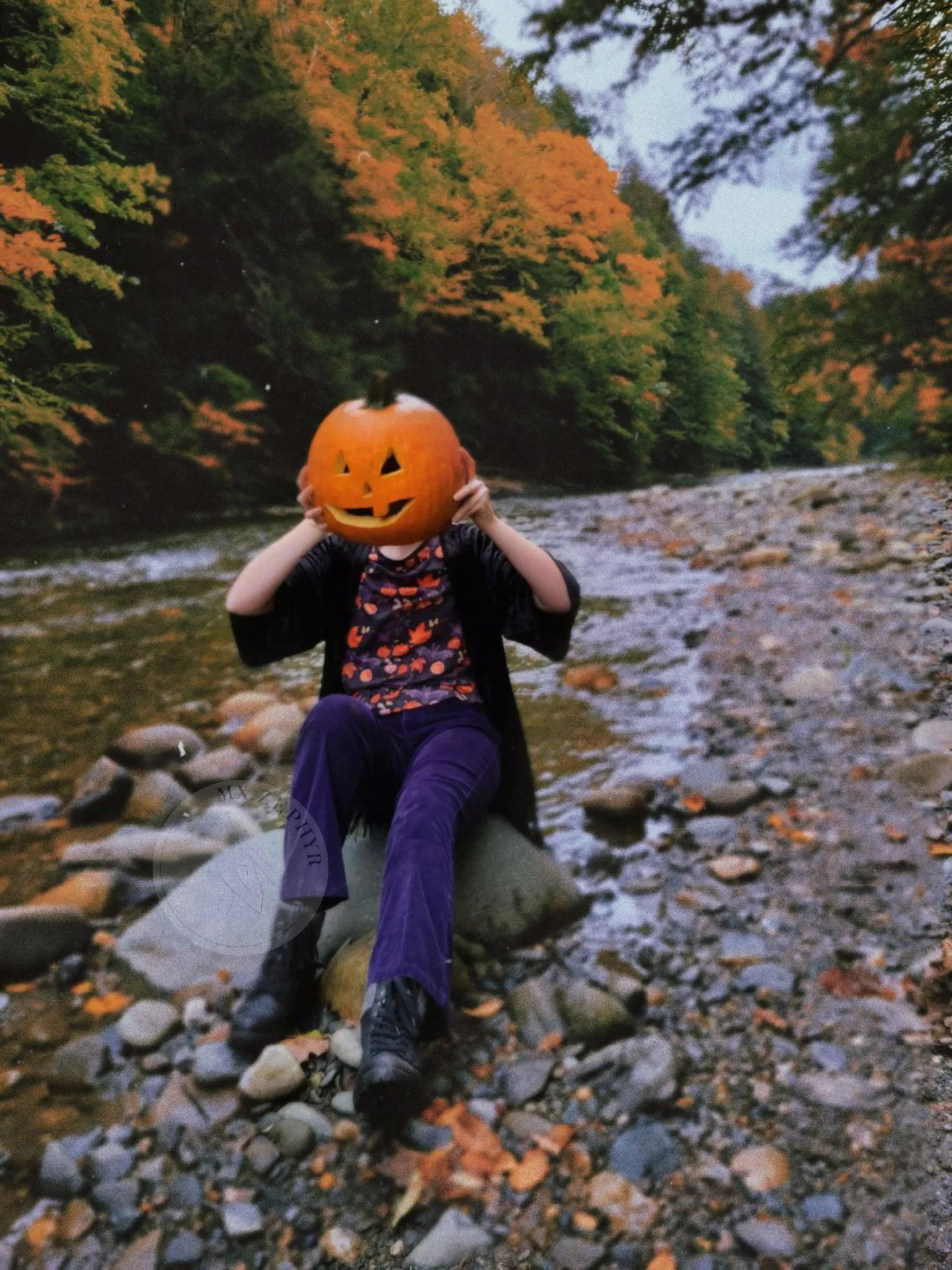 Spooky season is officially in full swing 🎃